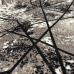 Килимове покриття ширина 4м на повстяній основі Дербі